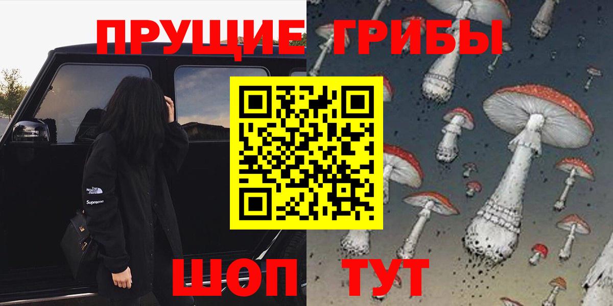 Галлюциногенные грибы Magic Shrooms Ковров