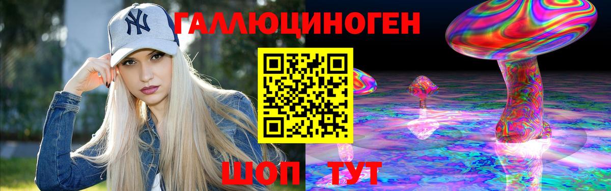 Псилоцибиновые грибы Psilocybine cubensis  Вход с VPN  Ковров 