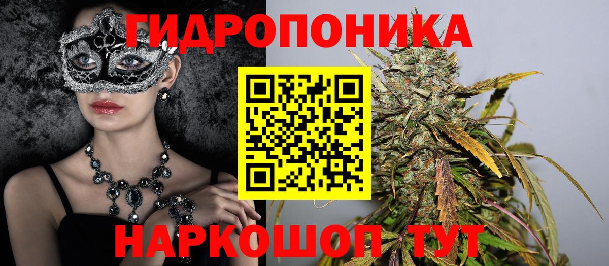 МАРИХУАНА конопля Ковров